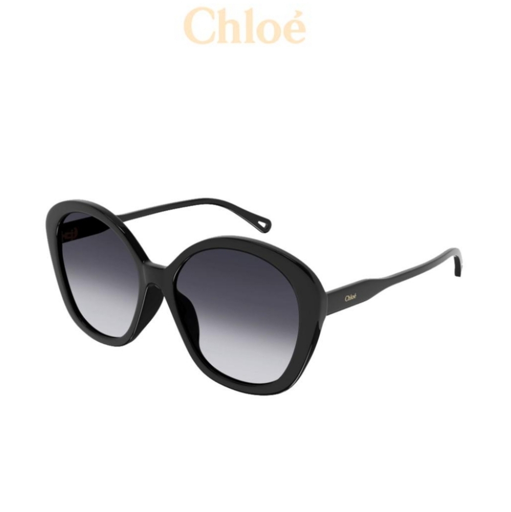 NWT CHLOE CH0081S Sunglasses - Picture 1 of 14